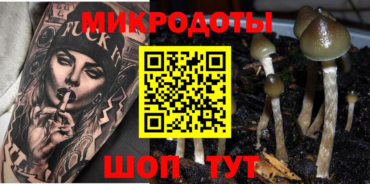 Псилоцибиновые грибы Magic Shrooms  Вход с VPN  купить   Златоуст 